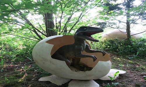 Dinopark Dinopark